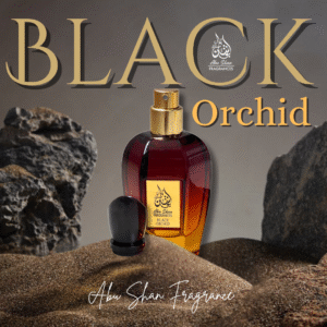 Black_20241205_205829_0000_Original